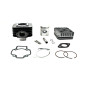 CYLINDER ŻELIWNY Z GŁOWICĄ POWER FORCE GILERA STORM PIAGGIO LIBERTY SFERA ZIP 47MM 2T