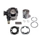 CYLINDER ŻELIWNY POWER FORCE BASIC APRILIA SCARABEO SUZUKI KATANA 41 MM 2T