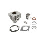 CYLINDER NICASILOWY AIRSAL HONDA SH SFX SJ BALI 39MM 2T