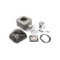 CYLINDER NICASILOWY Z GŁOWICĄ AIRSAL PEUGEOT SPEEDFIGHT 2 VIVACITY BUXY TREKKER 46MM 2T CYLINDER NICASILOWY Z GŁOWICĄ AIRSAL PEUGEOT SPEEDFIGHT 2 VIVACITY BUXY TREKKER 46MM 2T