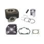 CYLINDER ŻELIWNY Z GŁOWICĄ POWER FORCE KYMCO AGILITY LIKE VITALITY 47MM 2T