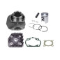 CYLINDER ŻELIWNY Z GŁOWICĄ POWER FORCE KYMCO AGILITY LIKE VITALITY 47MM 2T