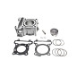 CYLINDER ŻELIWNY POWER FORCE YAMAHA X-MAX 52MM 4T CYLINDER ŻELIWNY POWER FORCE YAMAHA X-MAX 52MM 4T