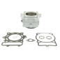 ATHENA CYLINDER STD + USZCZELKI TOP-END HUSQVARNA TE/TC 250 '06-'09