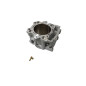 PROMX CYLINDER YAMAHA YFM 700 GRIZZLY '07-'15, YFM 700 R RAPTOR '06-'20 (BIG BORE 105,5MM, 734CCM) NICASIL