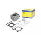 Cylinder kompletny Magneti Marelli Yamaha X-Max 300 17-23