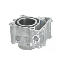 Cylinder kompletny Magneti Marelli Yamaha X-Max 300 17-23