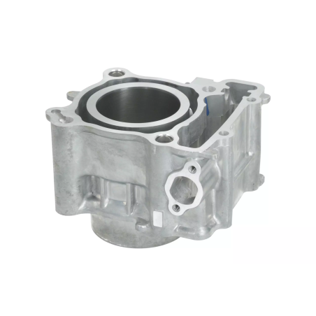 Cylinder kompletny Magneti Marelli Yamaha X-Max 300 17-23