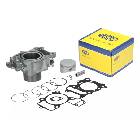 Cylinder kompletny Magneti Marelli Honda SH300 07-19