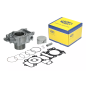 Cylinder kompletny Magneti Marelli Honda SH300 07-19