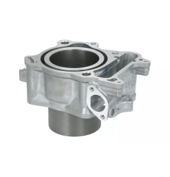 Cylinder kompletny Magneti Marelli Honda SH300 07-19