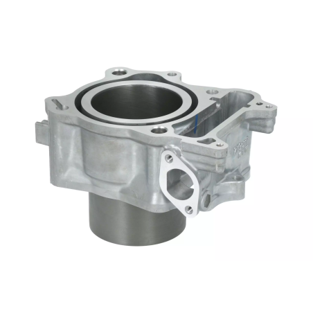 Cylinder kompletny Magneti Marelli Honda SH300 07-19