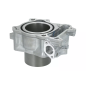 Cylinder kompletny Magneti Marelli Honda SH300 07-19
