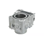 Cylinder kompletny Magneti Marelli Yamaha X-Max 300 17-23