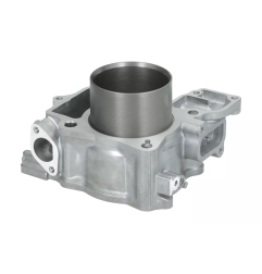 Cylinder kompletny Magneti Marelli Honda SH300 07-19
