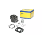 Cylinder kompletny Magneti Marelli Derbi Senda 50 06- Aprilia RS RX SX 50 06- Cylinder kompletny Magneti Marelli Derbi Senda 50 06- Aprilia RS RX SX 50 06-
