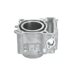 Cylinder kompletny Magneti Marelli Yamaha X-Max 300 17-23