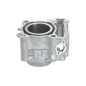 Cylinder kompletny Magneti Marelli Yamaha X-Max 300 17-23