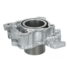 Cylinder kompletny Magneti Marelli Honda SH300 07-19