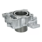 Cylinder kompletny Magneti Marelli Honda SH300 07-19