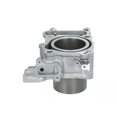 Cylinder kompletny Magneti Marelli Honda SH300 07-19