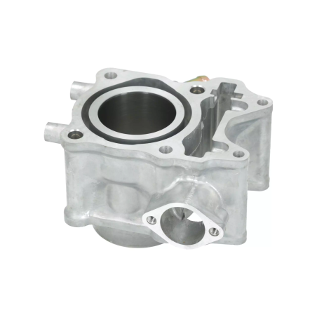 Cylinder kompletny Magneti Marelli Honda SH 150 17-20 PCX 150 18-24