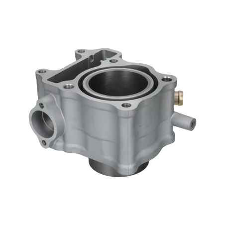 Cylinder kompletny Magneti Marelli Honda SH 150 Dylan 01-12