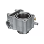 Cylinder kompletny Magneti Marelli Honda SH 150 Dylan 01-12