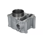 Cylinder kompletny Magneti Marelli Honda SH 150 Dylan 01-12
