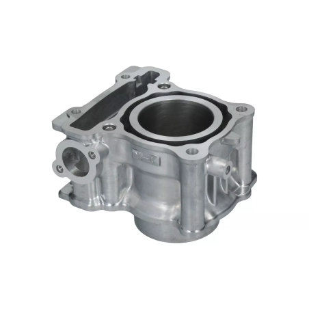 Cylinder kompletny Magneti Marelli Yamaha N-Max 155 Tricity 155