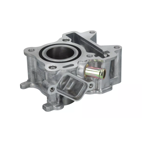 Cylinder kompletny Magneti Marelli Yamaha Neos 4T 50