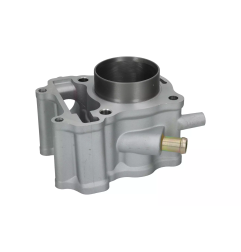 Cylinder kompletny Magneti Marelli Honda SH 150 Dylan 01-12