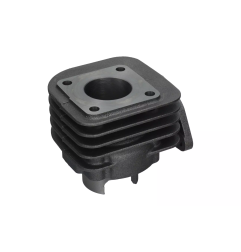 Cylinder kompletny Magneti Marelli Kymco 50 2T Agility People Dink
