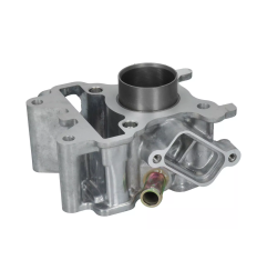 Cylinder kompletny Magneti Marelli Yamaha Neos 4T 50