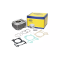Cylinder kompletny Magneti Marelli Piaggio Liberty 150 08-13