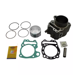 Cylinder kompletny Magneti Marelli Honda Honda Forza 250 08-10
