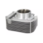 Cylinder kompletny Magneti Marelli Piaggio Liberty 150 08-13