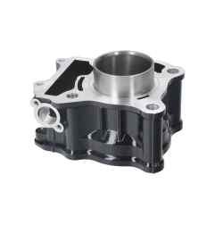 Cylinder kompletny Magneti Marelli Suzuki Burgman 125 07-16