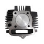 CYLINDER ŻELIWNY Z GŁOWICĄ POWER FORCE 154FMI 125CCM 52MM CYLINDER ŻELIWNY Z GŁOWICĄ POWER FORCE 154FMI 125CCM 52MM