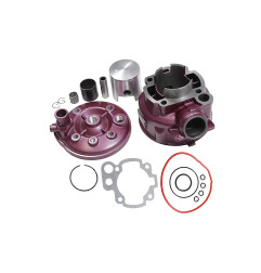 CYLINDER ŻELIWNY Z GŁOWICĄ POWER FORCE APRILIA RS TUONO PEUGEOT XP7 YAMAHA DT MINARELLI AM6 49 MM 2T WIŚNIA
