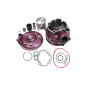 CYLINDER ŻELIWNY Z GŁOWICĄ POWER FORCE APRILIA RS TUONO PEUGEOT XP7 YAMAHA DT MINARELLI AM6 49 MM 2T WIŚNIA