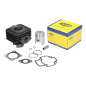 Cylinder kompletny Magneti Marelli Piaggio 50 2T Cylinder kompletny Magneti Marelli Piaggio 50 2T