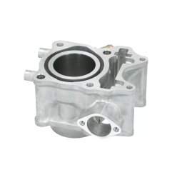 Cylinder kompletny Magneti Marelli Honda SH 125 12-20 PCX 125 13-