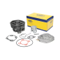 Cylinder kompletny 80 cm3 Magneti Marelli Minarelli Horizontal LC D 47