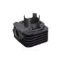 Cylinder kompletny 80 cm3 Magneti Marelli Piaggio 50 2T AC 01- D 47
