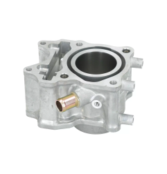 Cylinder kompletny Magneti Marelli Honda SH 125 12-20 PCX 125 13-