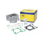 Cylinder kompletny Magneti Marelli Honda