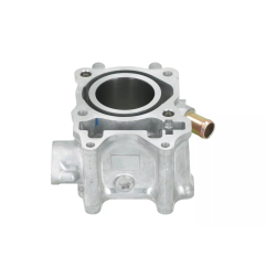 Cylinder kompletny Magneti Marelli Honda SH 125 12-20 PCX 125 13-