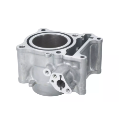 Cylinder kompletny Magneti Marelli Honda