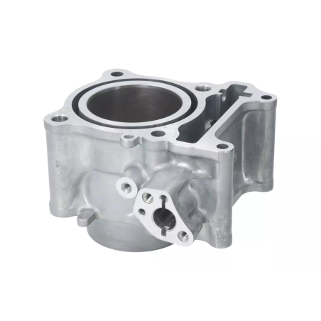 Cylinder kompletny Magneti Marelli Honda